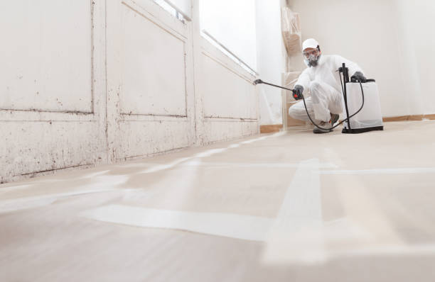 24/7 Emergency Attic Mold Removal experts in New Milford, NJ